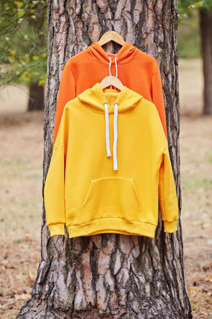 Several multicolored hoodies hang on hangers in a tree. Demonstration of different colors of clothesの写真素材