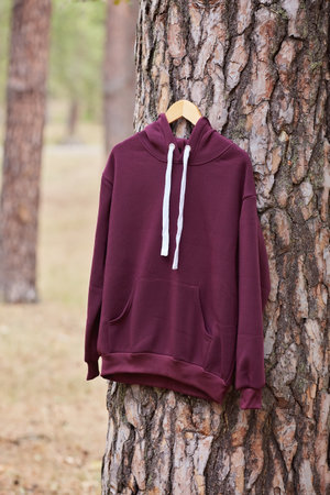 burgundy hoodie hanging on a hanger on a tree in the forest. Demonstration of different colors of clothesの写真素材