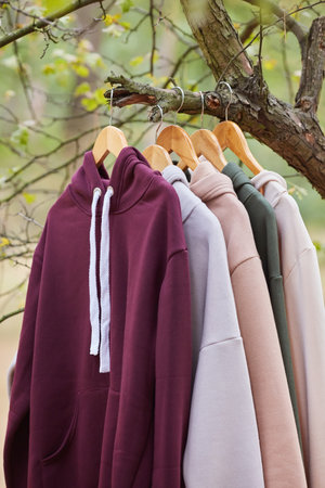 Several multicolored hoodies hang on hangers in a tree. Demonstration of different colors of clothesの写真素材