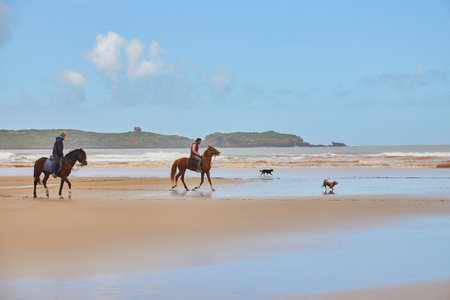 ESSAOUIRA, MOROCCO. 13 th February, 2017: View on the long beach in Essaouira. Moroccoのeditorial素材