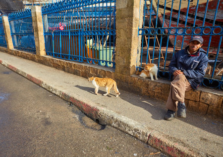 ESSAOUIRA, MOROCCO. 13 th February, 2017: Port of Essaouira, a worker and a cat on the streetのeditorial素材