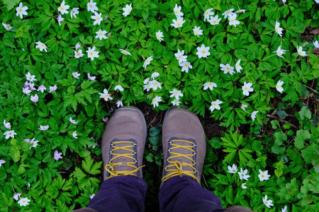 a field of white flowers with green grass on top and standing yellow sneakers. top view copy spaceの写真素材