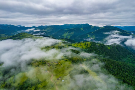Mountains in clouds at sunrise in summer. Aerial view of mountain peak with green trees in fog....