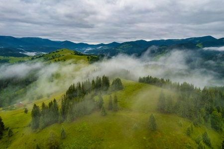 Fog envelops the mountain forest. The rays of the rising sun break through the fog. Aerial drone view.の写真素材