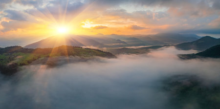 landscape with fog in mountains and rows of trees