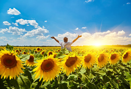 Successful Ukrainian Farmer in a sunflower field. Senior farmer man is standing and smiling in a field with a peaceful sky background. Ukraine.の写真素材