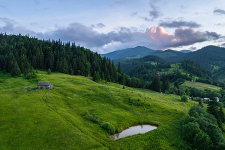 Mountains in clouds at sunrise in summer. Aerial view of mountain peak with green trees in fog. Beautiful landscape with high rocks, forest, sky. Top view from drone of mountain valley in low cloudsの写真素材