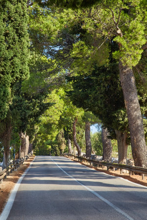Typical Tuscany road along cypresses and vineyardsの写真素材