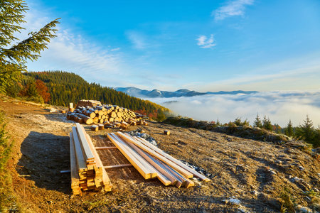 A large pile of sawn round firewood is piled on the ground. snow covered earth.の写真素材