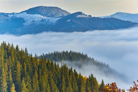 In the tranquil embrace of autumn, the mountains come alive with the first snowfall. Towering trees adorned in golden foliage create a stunning contrast against the white landscape. Majestic snow-covered peaks adorn the backdrop, adding a touch of grandeur to the sceneの写真素材