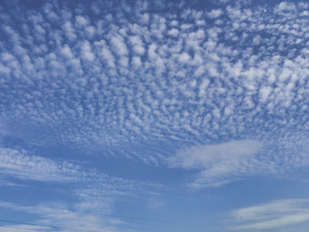 Blue sky background with clouds. Curly clouds all over the sky