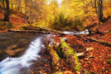 A majestic autumn river gracefully winds its way through a picturesque mountainous forest. The tranquil waters create a serene atmosphere, reflecting the vibrant hues of the surrounding fall foliage. The enchanting combination of flowing water, towering trees, and rugged terrain evokes a sense of natural beauty and peacefulness.の写真素材