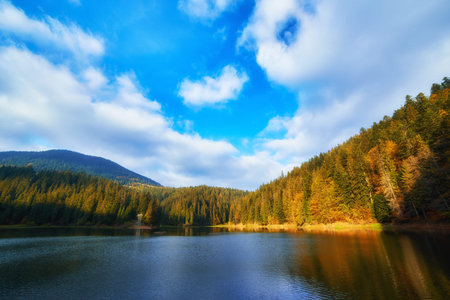 Immerse yourself in the breathtaking beauty of the Carpathian Mountains during autumn. The captivating Synevir Lake reflects the vibrant colors of the surrounding foliage. Lose yourself in the tranquility of this serene landscape, where nature's palette comes alive with hues of gold, orange, and redの写真素材