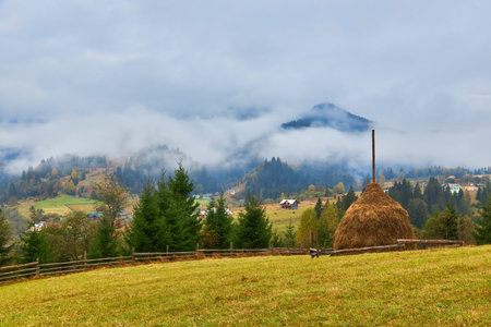 As the first light of dawn breaks through, a captivating scene unfolds in the mist-shrouded autumn...