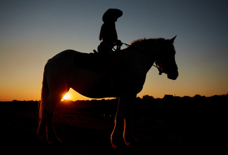 Cowboy silhouette on a horse during nice sunset. Silhouette of a girl on horse.の写真素材
