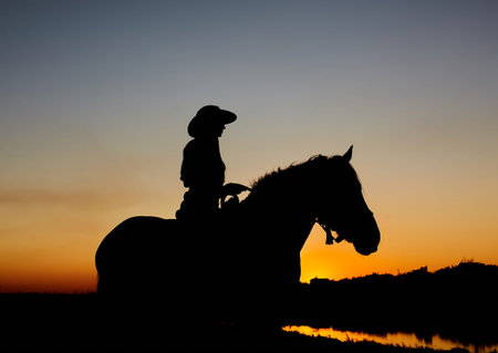 Horseback woman riding on galloping horse with red rising sun on horizon. Beautiful colorful sunset header background with equine and girls silhouette.の写真素材