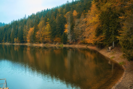 Lake in mystery fog with autumn forest. Ghostly mountain lake. Ukrainian lake Synevirの写真素材