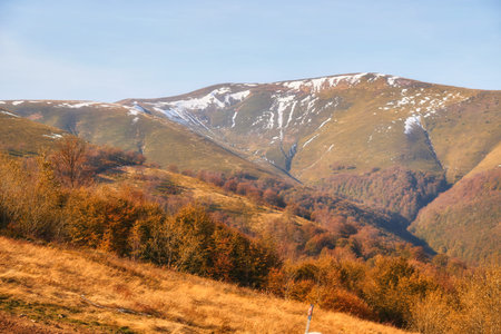 Step into a world of enchantment as you behold the splendor of autumn in the Carpathian Mountains. Majestic peaks rise majestically against a backdrop of vibrant foliage, creating a mesmerizing tapestry of colors. Shades of crimson, amber, and gold dance in harmony, painting a picture of pure natural beauty.の写真素材