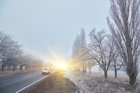 A car drives along a fog-covered road, coated with a layer of frost, creating an atmosphere of winter mystery and cold.の写真素材