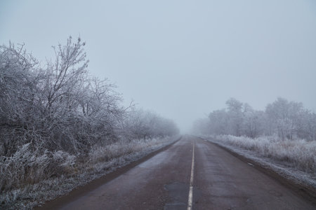 Winter morning. Fog drifts over trees covered in white frost. A good asphalt road leads into the distance and disappears into the fog.の写真素材