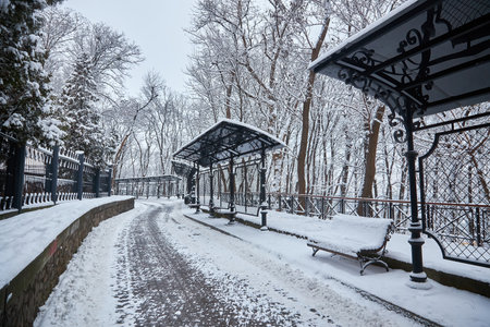 Snow-covered trees and benches in the city park. Sunsetの写真素材