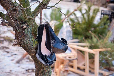 A pair of sleek black high-heeled women's shoes hanging from a tree branchの写真素材