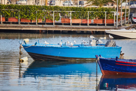 Bari town skyline and fishing boats - harbor in Apulia region, Italy.の写真素材