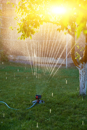 Modern device of irrigation garden. Irrigation system - technique of watering in the garden. Lawn sprinkler spraying water over green grass.の写真素材
