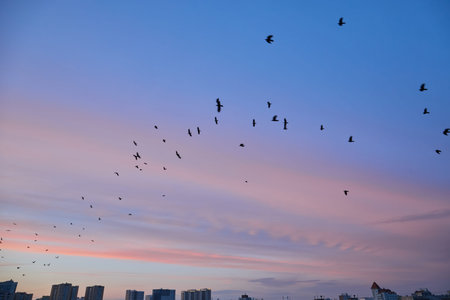 Sunset sky, clouds painted in bright colors over Kyiv, Ukraineの写真素材