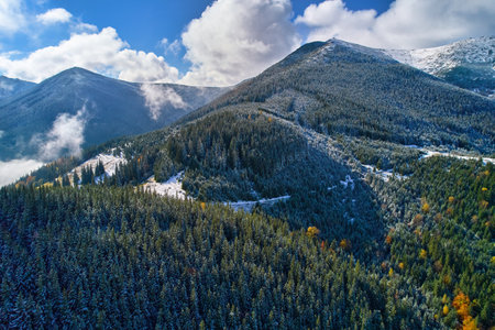 First snow fell on autumn forest, cold storm under yellow foliage. Bird's-eye photo taken with a droneの写真素材