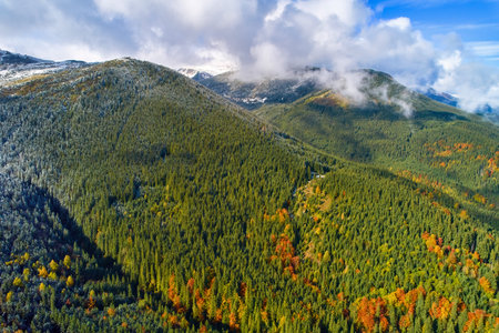 Aerial drone view over autumn forest. Colorful trees in the wood. Autumn background, aerial drone...