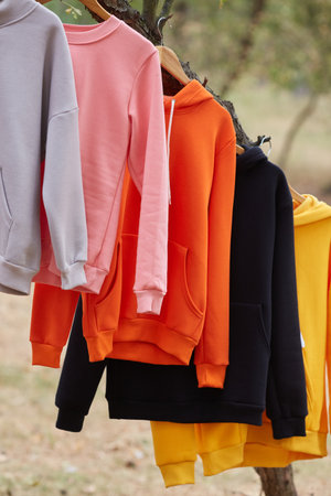Several multicolored hoodies hang on hangers in a tree. Demonstration of different colors of clothesの写真素材