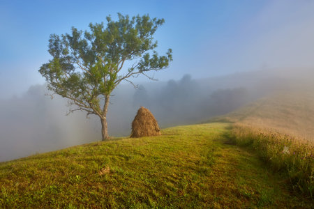 Beautiful dreamy autumn sunrise rural scenery. Haystacks and trees on a mountain hill with morning fog.の写真素材