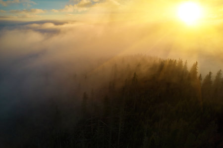 Flight over fog in Ukrainian Carpathians in summer. Mountains on the horizon. A thick layer of fog covers the mountains with a continuous carpet. Aerial drone view.の写真素材