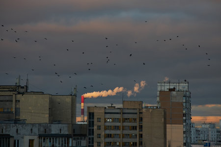 Buildings framed by a dramatic cloudy sky at sunset. Dark clouds and hints of pink on the horizon create a moody, urban atmosphere.の写真素材