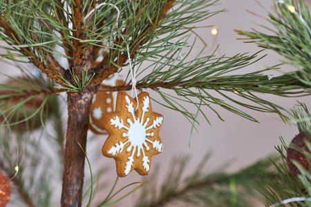 Close-up of a heart-shaped gingerbread cookie with white icing hanging on a pine branch. Warm festive lights add to the cozy holiday atmosphere.の写真素材