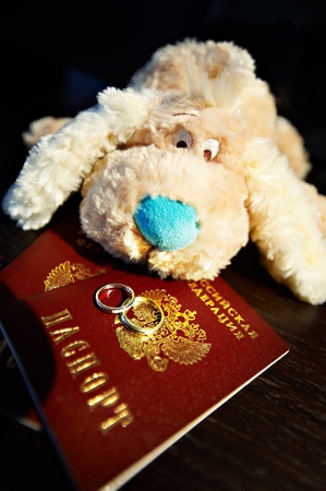 Passports and gold rings newlyweds and soft toy dogの写真素材