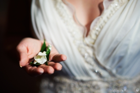 White flower bud in the palm of the bride in wedding dayの写真素材