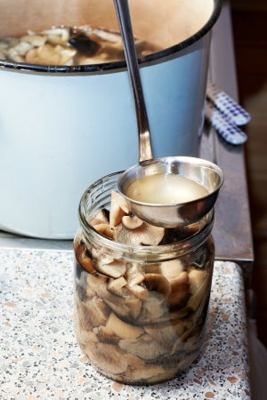 Process manual conservation of mushrooms indoorsの写真素材