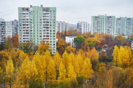 Autumn city with yellow trees