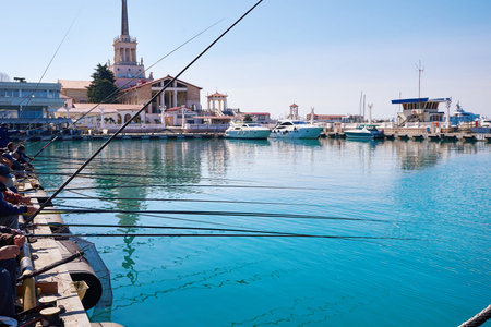 Fishermen in the port on a sunny day