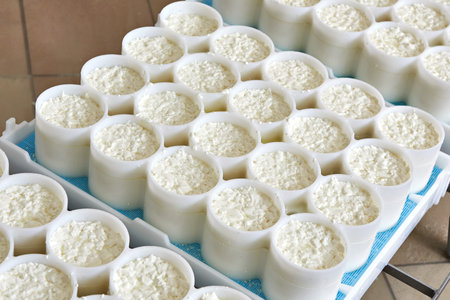 Molds with semifinished for the production of soft cheese
