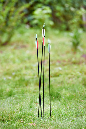 Arrows for sport bow in grass outdoorsの写真素材