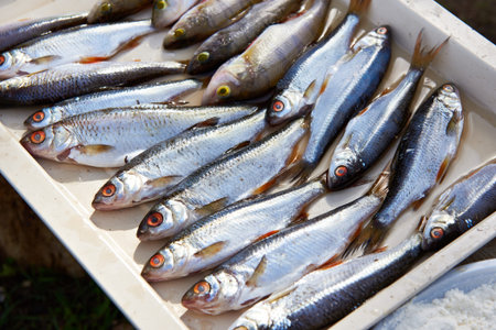 Fish roach, perch on a cutting board in the kitchen