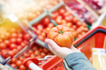 Tomato in the hand of the buyer at the grocery storeの写真素材