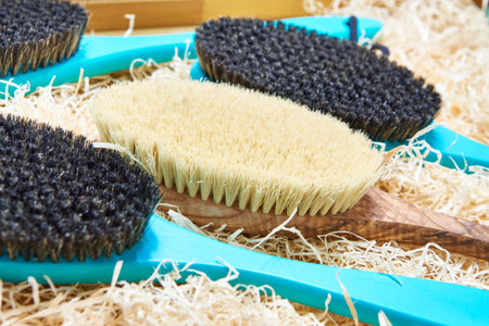 Wooden household brushes for clothes
