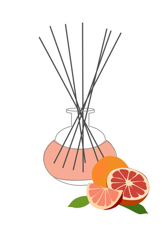 Home aromatherapy Vector isolated illustration. Diffuser with Sticks Orange and Grapefruit Citrus Fragranceのイラスト素材