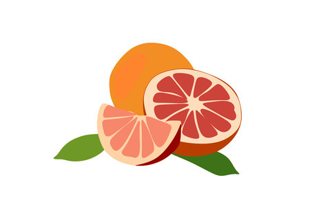 Organic fresh grapefruit isolated on white. Icon Grapefruit. Set with whole fruit, slice and a half, with leaves. Isolated vector illustration in a flat style. Red ogange fruitのイラスト素材