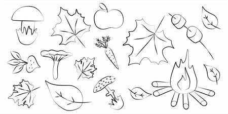 Set of outline doodle autumn elements. Black circuit vector illustration. Icon seasonal collection for design. Leaves, fall, apple, harvest, mushroom. Contour clipart for card.のイラスト素材