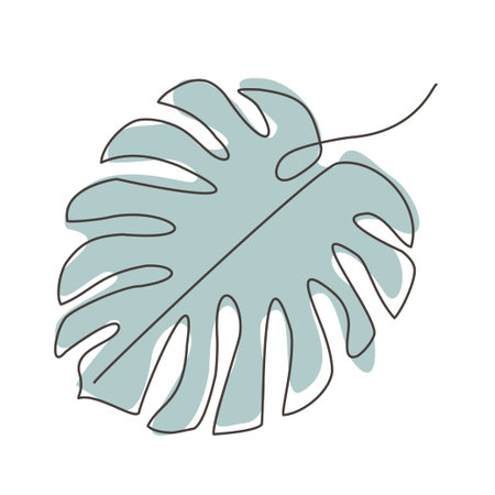 Line art hand drawn Monstera Green leaf isolated on white. Hand drawn vector botany illustration. Elegant and minimalism Tropical design art for printing, clothing, Poster, Decor.のイラスト素材